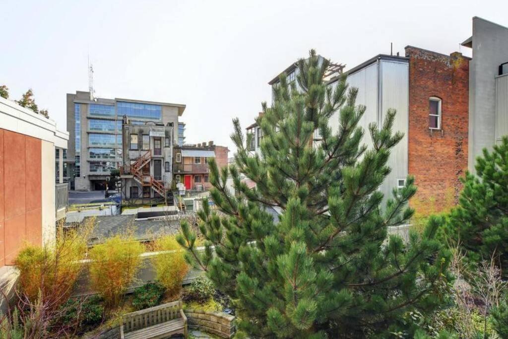 Clean 3Rd Floor Executive 1 Bedroom Apt In Old Town China Town Βικτώρια Εξωτερικό φωτογραφία